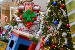 Christmas everywhere.