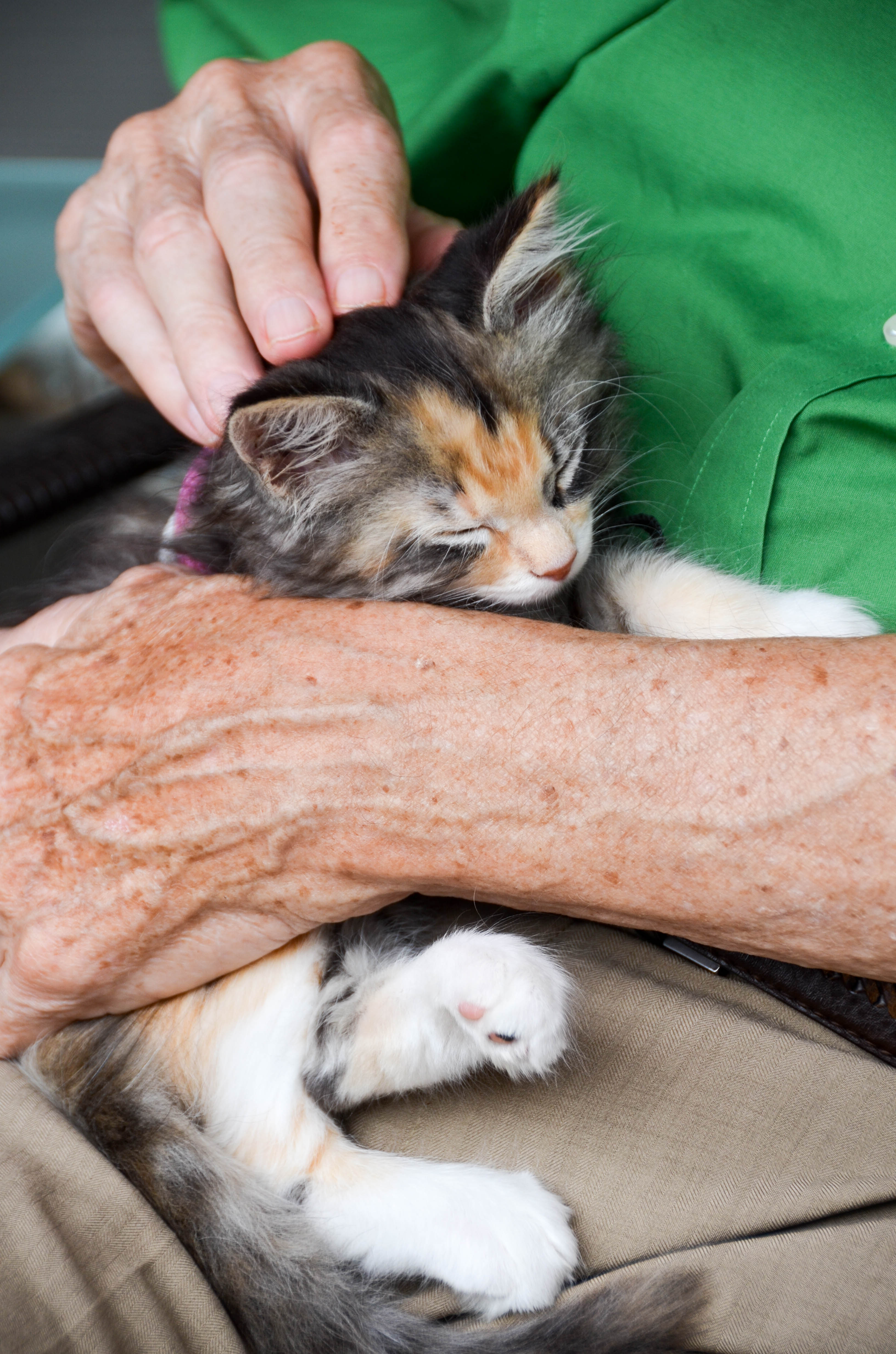 Holding Gypsy is good therapy.