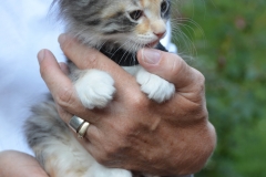 She's a good ice-breaker.