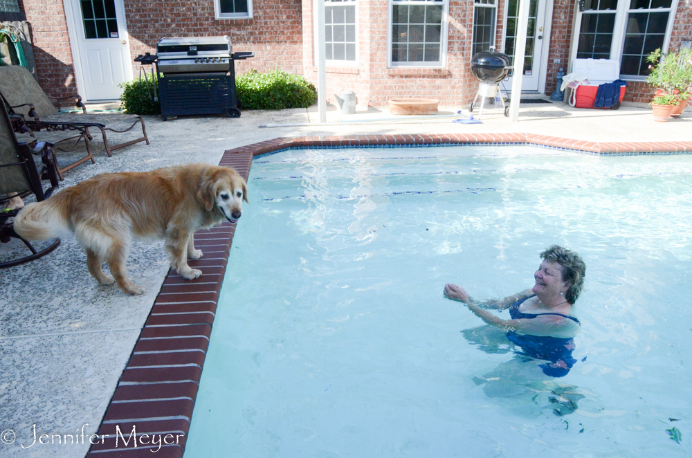 Normally Bailey loves to swim, but she was unsure about this unnaturally blue water.