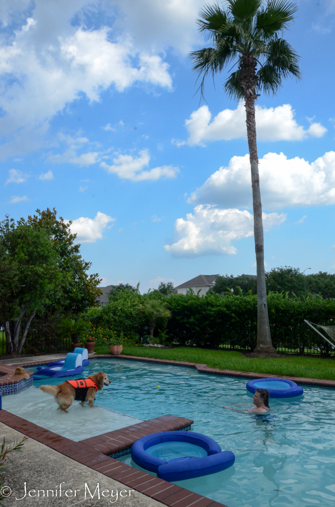 We spent of a lot of hot afternoons in the pool.
