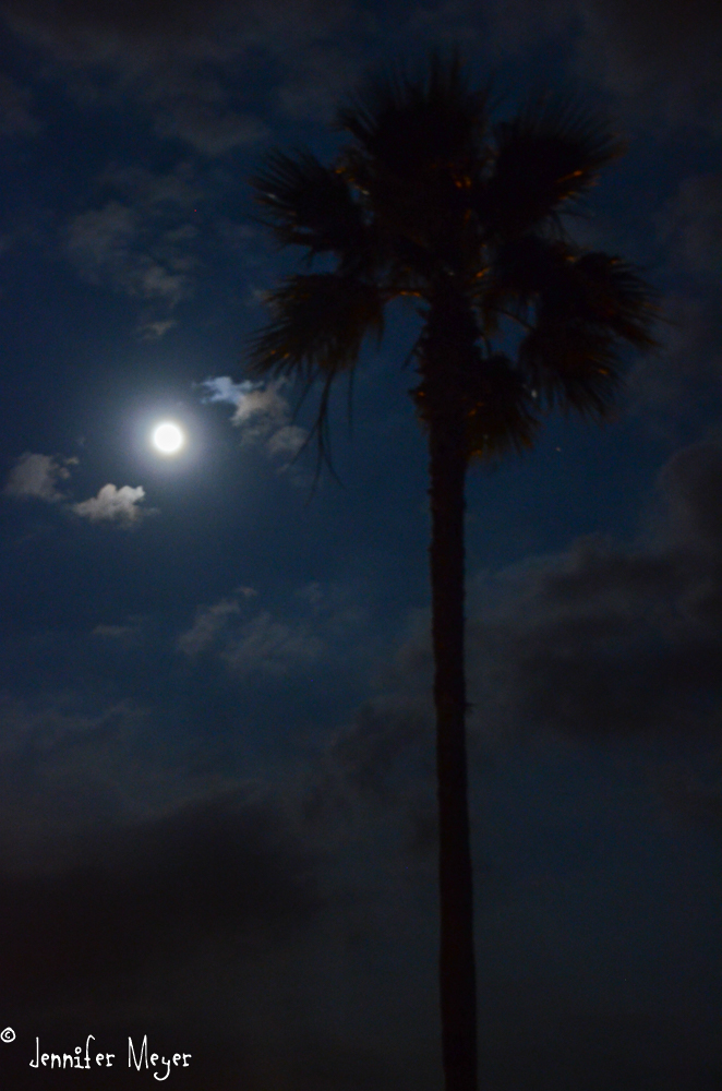 We were there for the full moon.