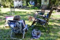 The fur kids loved hanging out on the land.