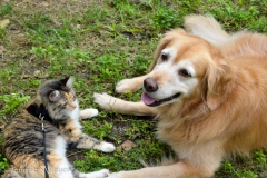 They are such buddies.